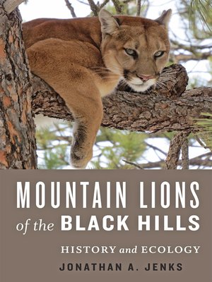 cover image of Mountain Lions of the Black Hills